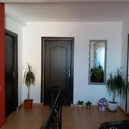Luk Costinesti